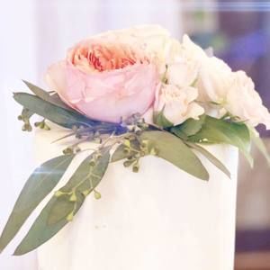 Meet your Posher, Dani